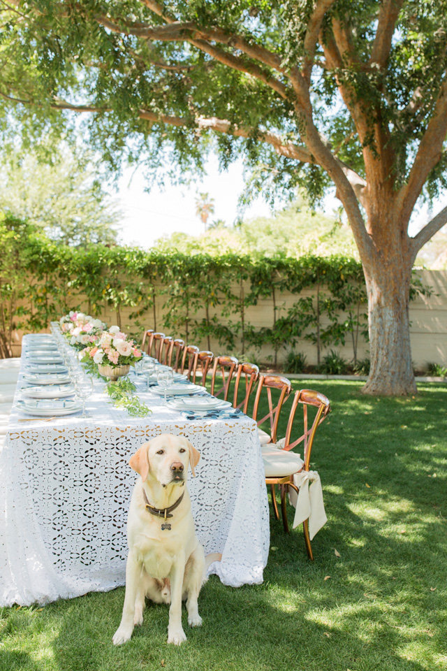 backyard farm table