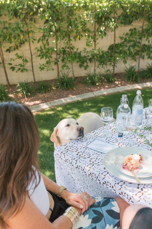 backyard luncheon