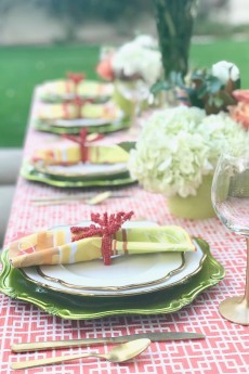 Coral and Lime Table: Dinner on the Lawn