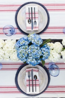 4th of July Party: Red and Blue Chic