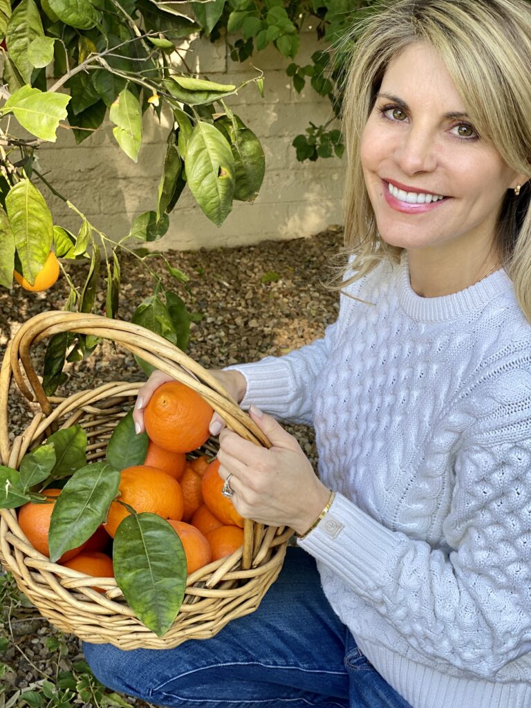 citrus trees