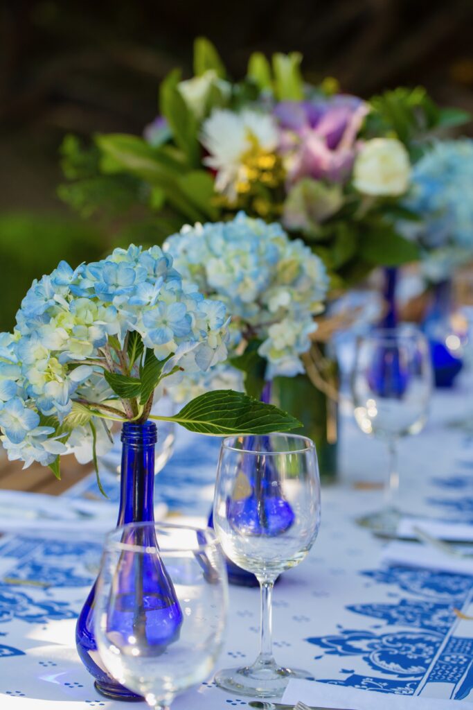 blue hydrangea