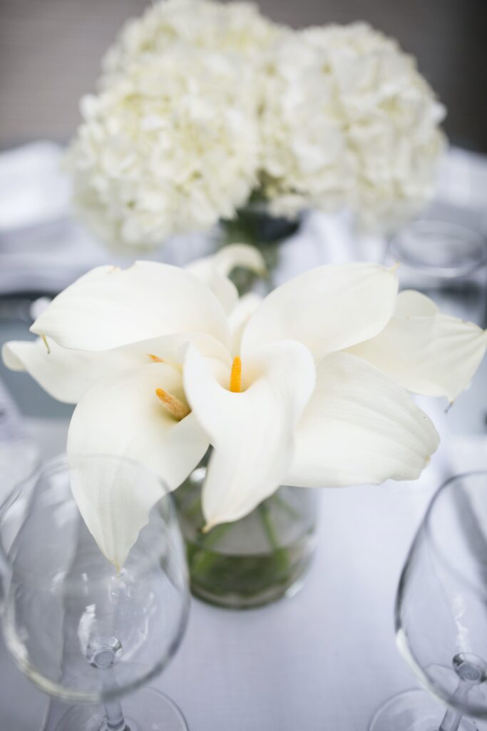 white Lillies