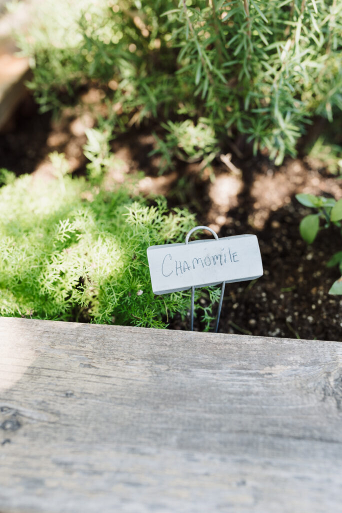 herb garden