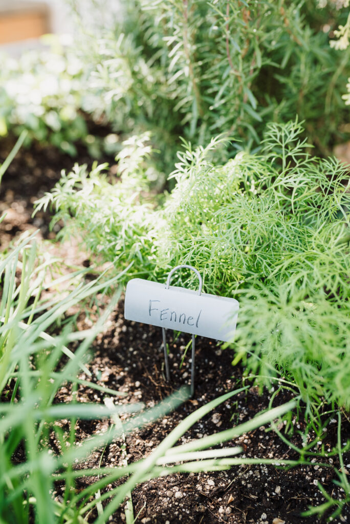 herb garden