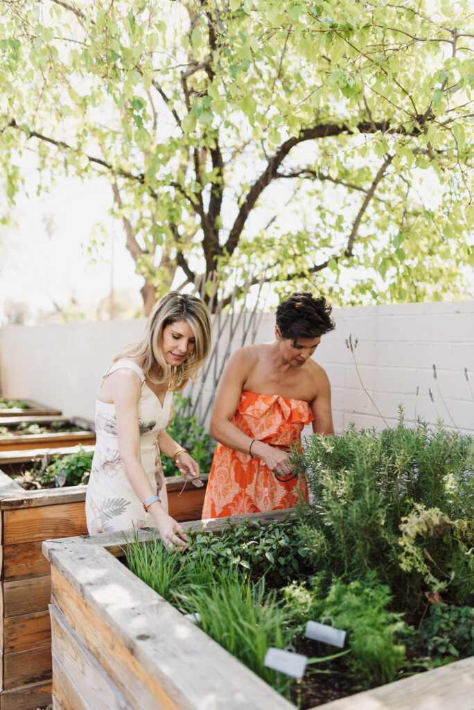 herb garden