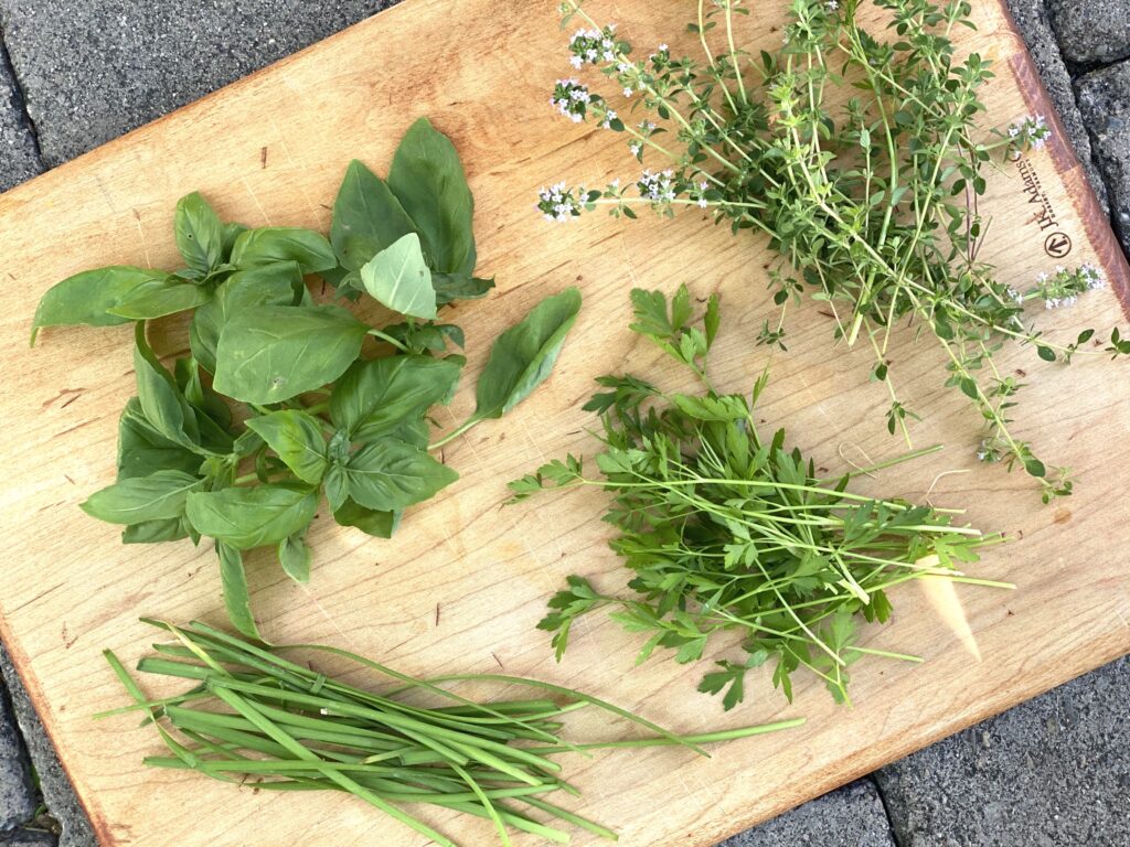 fresh herbs