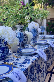 Blue and White Garden Dinner Party: Postponed